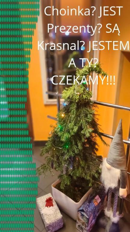 Apartamenty Pilsko Korbielów Buitenkant foto
